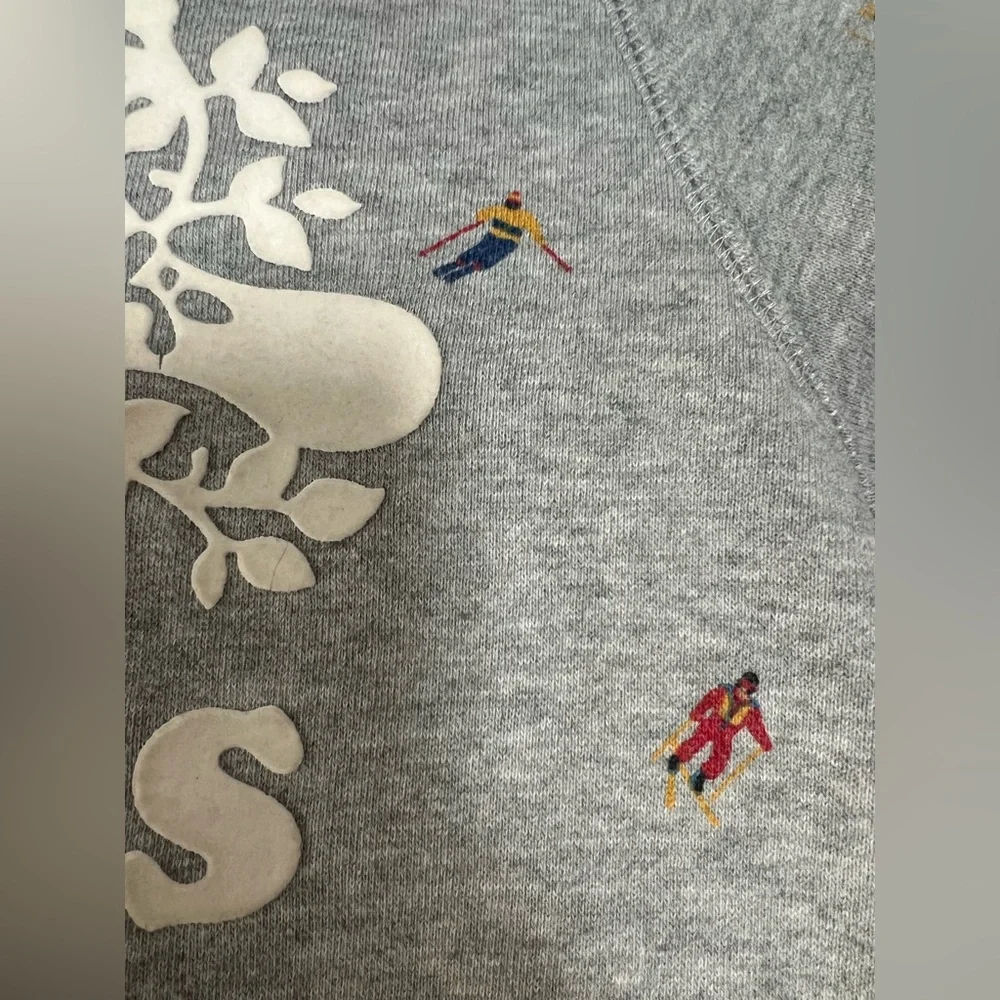 Roots Kids Hooded Sweatshirt Hoodie Gray Multi Color Mini Skiiers Size 7-8